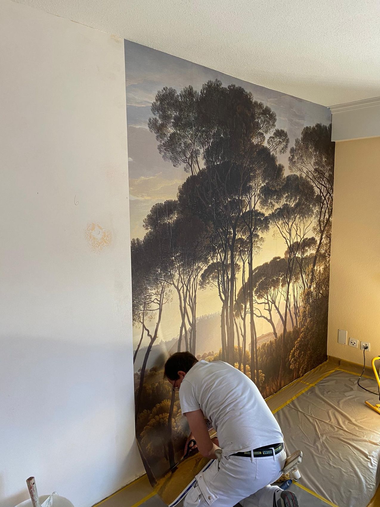 Maler tapeziert eine Wand mit Landschafts-Fototapete